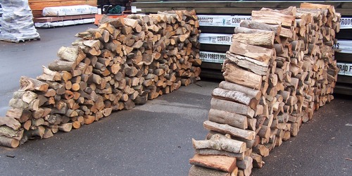 firewood_inspection