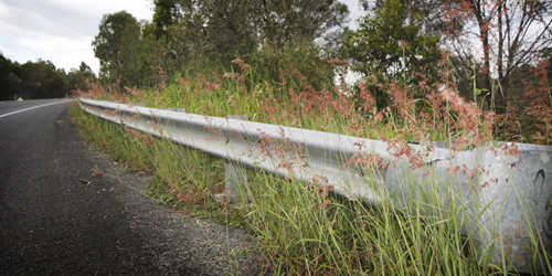 Guardrail - Overgrown