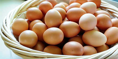 Brown Eggs 500x250