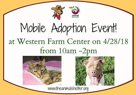 Mobile adoption event april 28 2018 480