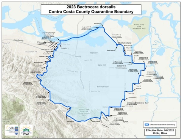 2023 Bactrocera Dorsalis Contra Costa County Quarantine Boundary 9.6.23