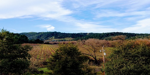 Hills in Sonoma County