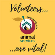 volunteers-are-vital-190.jpg