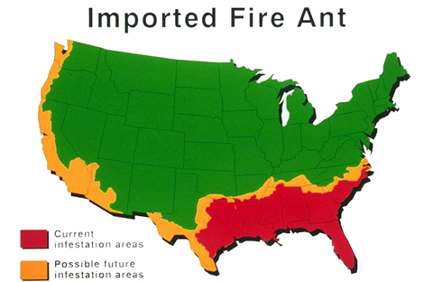 Red fire ants  infestation map