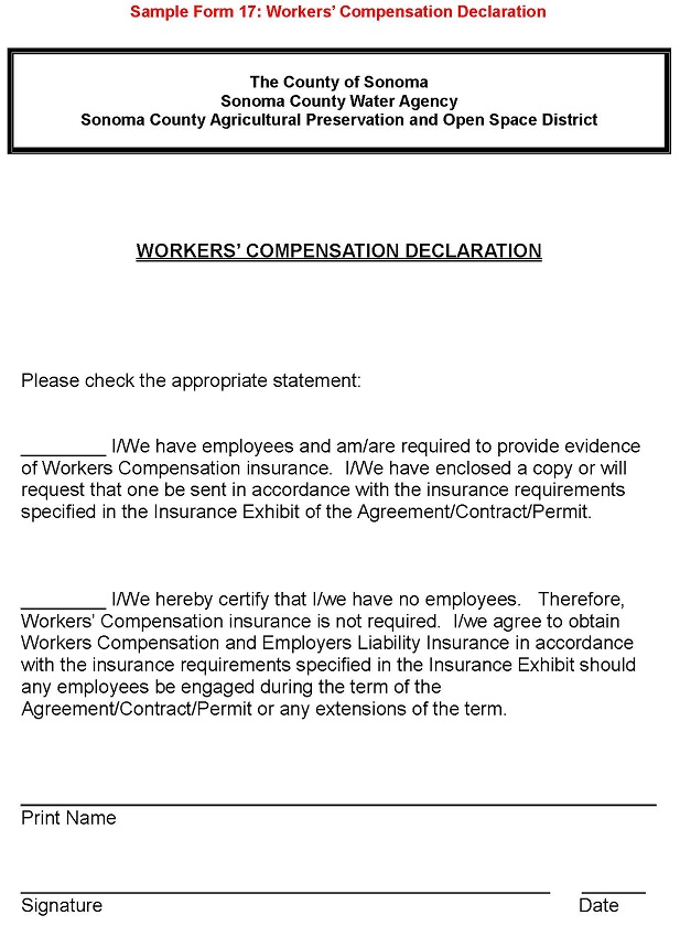 Sample Form 17 Workers Compensation Declaration Enlarged