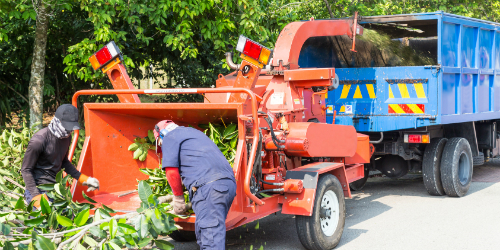 Worker feeding branches into red wood chipper
