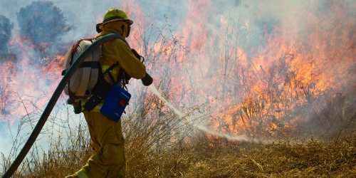 Photo of Firefighter Spraying Water on a Brushfire
