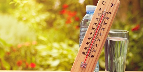Photo of a Thermometer