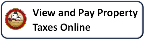 Link to Property Tax Payment Site