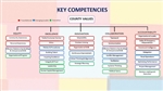 Competencies by County Values image