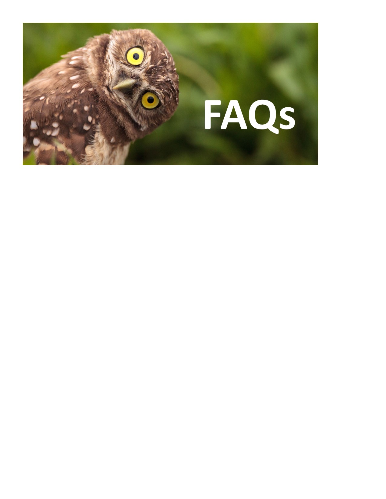 Owl - Frequently Asked Questions