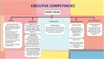 Tier 4 Executive Competencies image