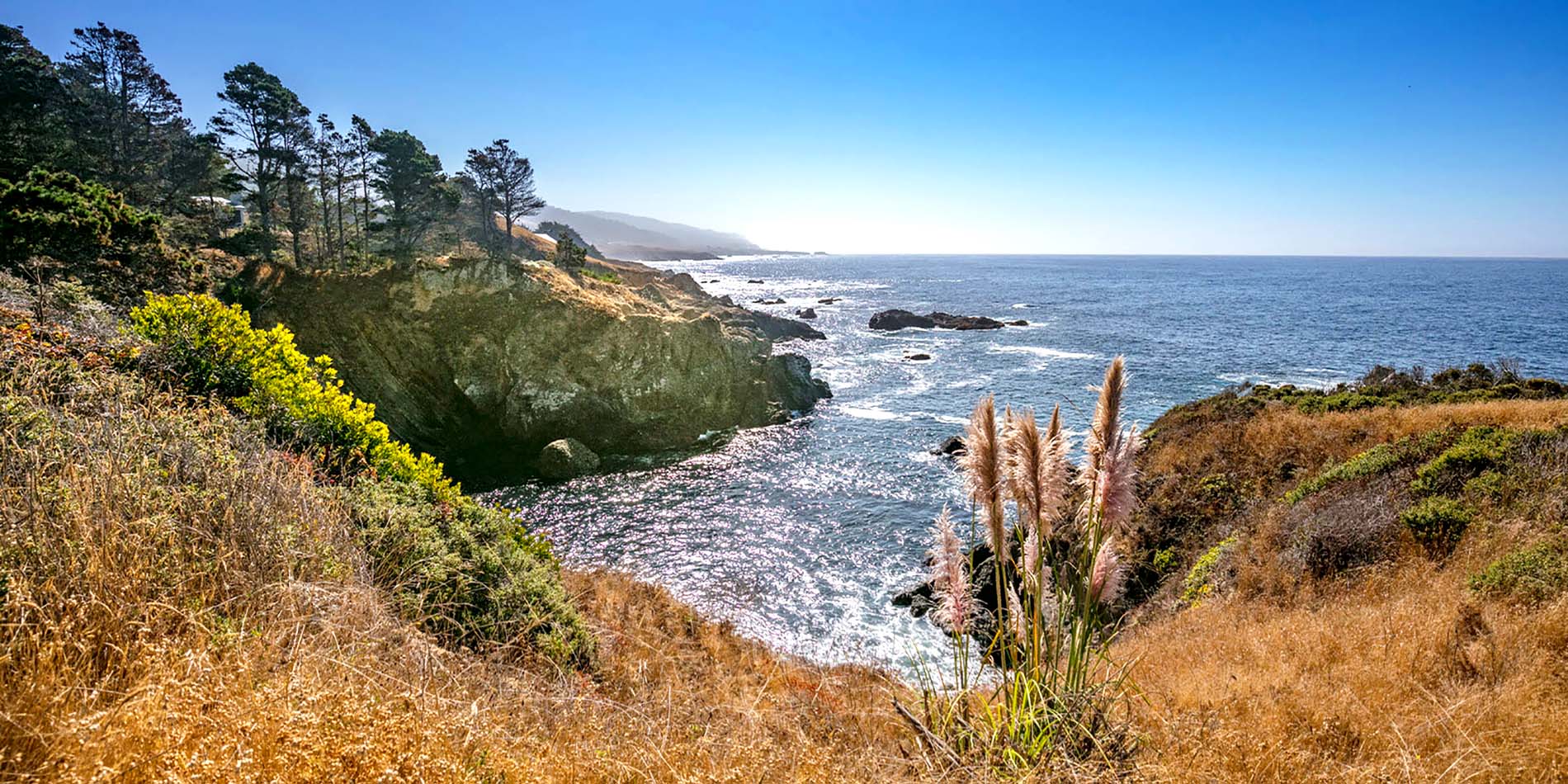 Sonoma County by the sea shore