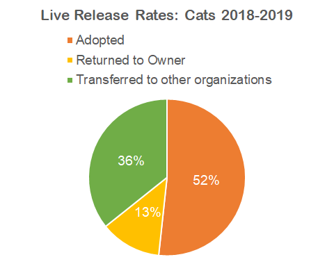 Live-Release-Chart-Cats-480