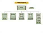 Acute & Forensic Services Organizational Chart