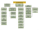 Department of Health Services Administration Organizational Chart
