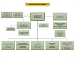 Behavioral Health Division Organizational Chart