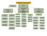 Homelessness Services Division Organizational Chart