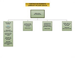 Substance Use Disorder & Community Recovery Services Organizational Chart
