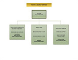 Youth & Family Services Organizational Chart