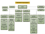 Department of Health Services Organizational Chart