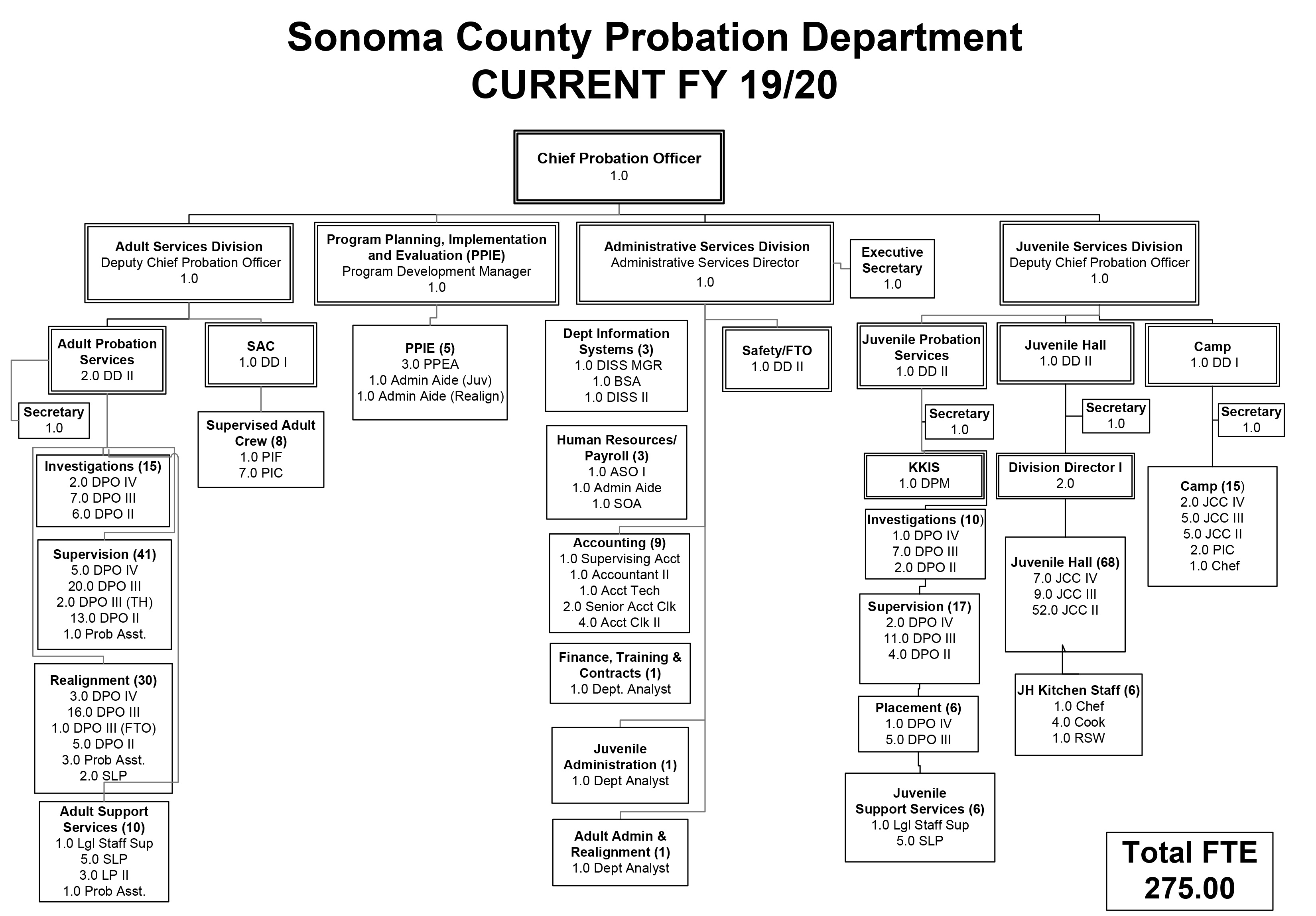 Probation organizational chart full size