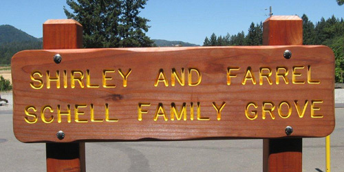 Routed Redwood sign